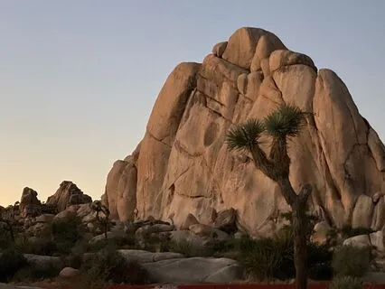 Grounding And Shielding Meditation With Reiki