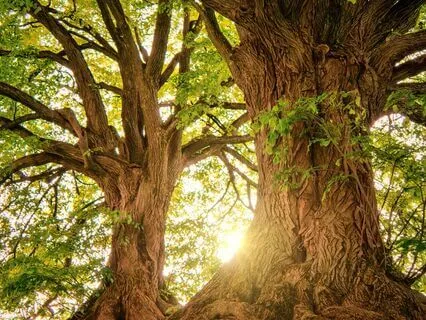 Grounding And Stability