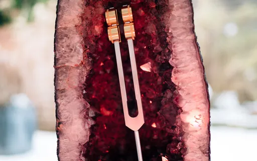 Grounding & Strengthening Your Roots