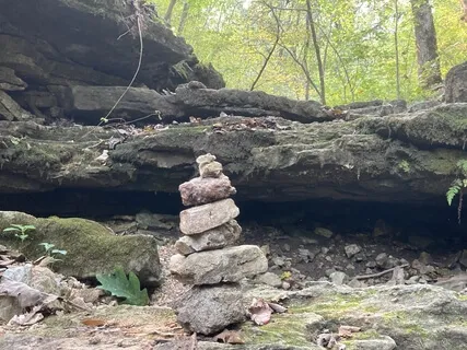 Grounding At The Sacred Woods 