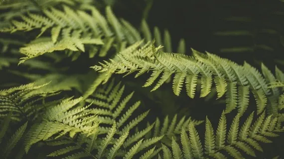 Grounding Attention In The Present  - 10 Minute Daily Insight