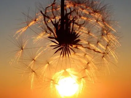 Grounding Breathing Practice To Feel Safe & Present