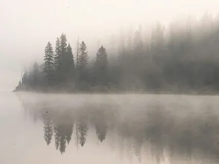 Grounding Body Awareness For Presence & Calm