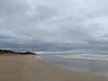 Grounding Body Scan - 5 Minutes