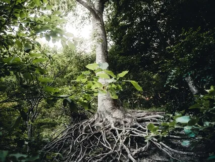 Grounding Body Scan Meditation