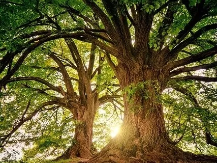 Grounding Body Scan To Relax And Restore