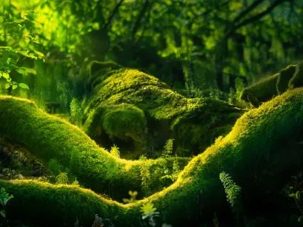 Grounding Breath And Body Reset