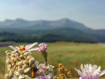 Grounding Breath Awareness