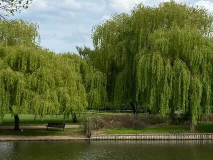 Grounding Breath For Stress