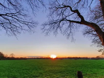 Grounding Breath Meditation