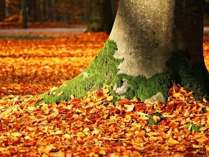 Grounding Breathwork For Stillness & Relaxation