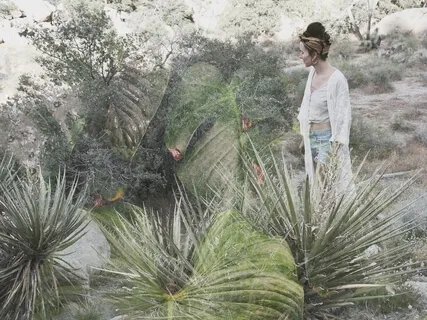 Grounding Breath Meditation