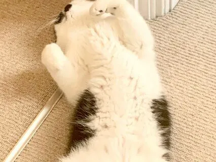 Grounding Breath Meditation