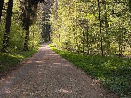 Grounding Breaths Before Working