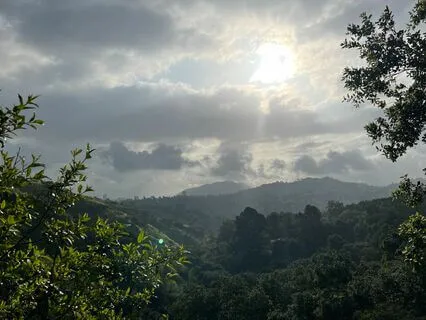 Grounding Breathwork Meditation