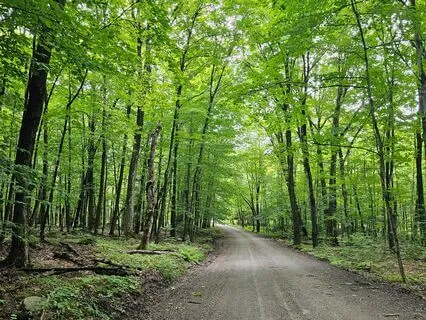 Grounding Breathwork & Body Scan