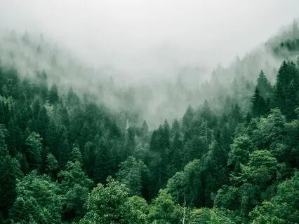 Grounding & Calming Meditation