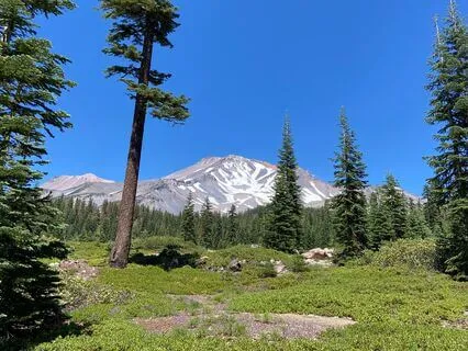 Grounding & Centering "Gam" Mantra Meditation