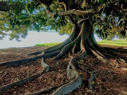 Grounding & Centering Your Energy | Healing Frequency Music