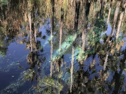 Grounding Cicada Waterfall 