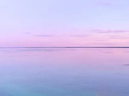 Grounding Color Scan For Calm & Presence