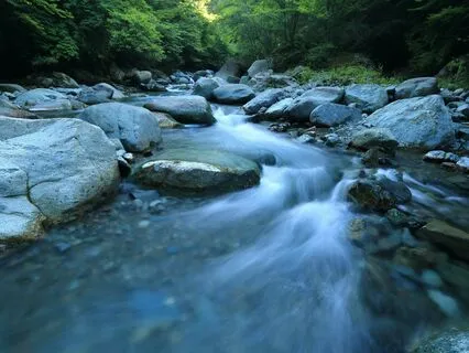 Grounding Deep | Music, Nature Sounds, & Schumann Resonance