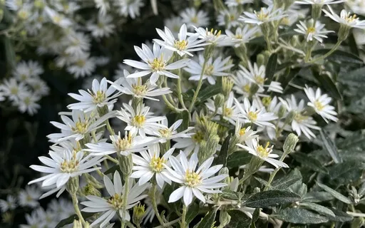 Grounding During Intense Planetary Solar Or Lunar Events