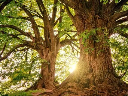 Grounding During Times Of Stress With Reflective Questions