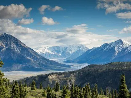 Grounding Earth Meditation For Ease