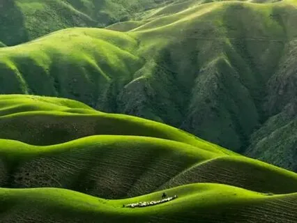 Grounding Earth Meditation