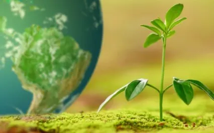 Grounding Energy Meditation