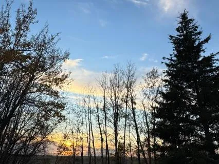 Grounding For A Hyper Active Mind