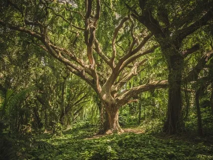 Grounding For Calm, Strength And Courage