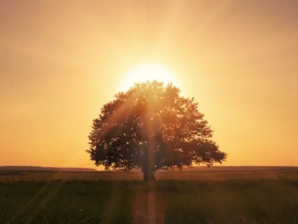 Grounding For Safety And Peace