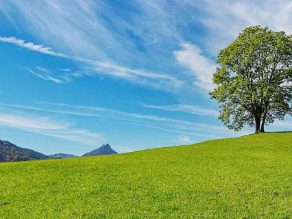 Grounding For Stress Relief And Presence