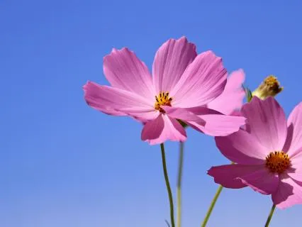 Grounding, Gratitude & Love
