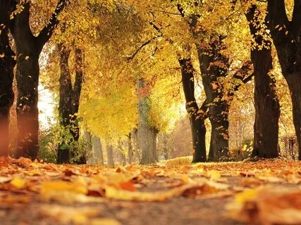 Grounding Guided Meditation 