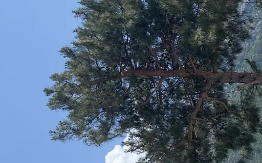 Grounding Guided Meditation 