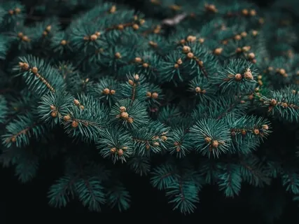 Grounding Guided Practice: How To Become More Present