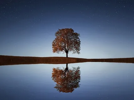 Grounding - Guided Meditation With 432Hz Healing Frequencies 