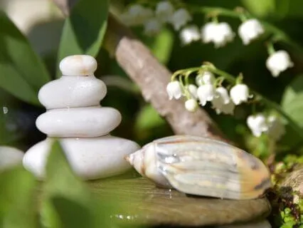 Grounding & Harmonising Your Energy