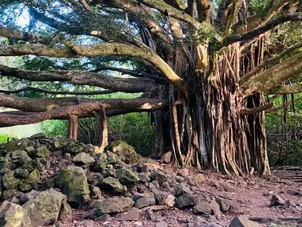 Grounding Healing Meditation