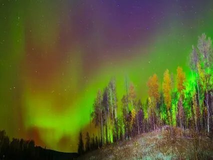 Grounding, Healing Music