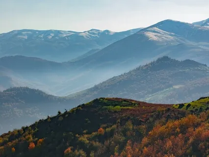 Grounding Home (Sacred Sound Bath)