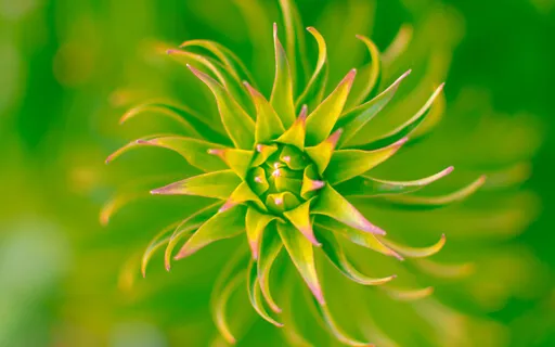 Grounding In Intention (Short Flute Meditation-Root Chakra)