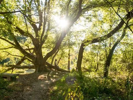 Grounding In The Face Of Challenges