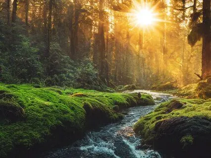 Grounding In The Present Moment