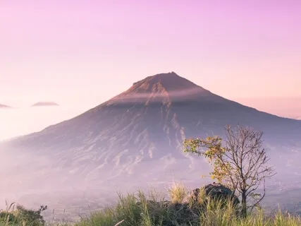 Grounding In The Time Of Corona - Keeping Our Vibes Up