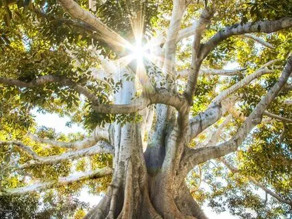 Grounding In Times Of Distress