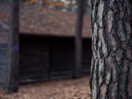 Grounding In Your Body